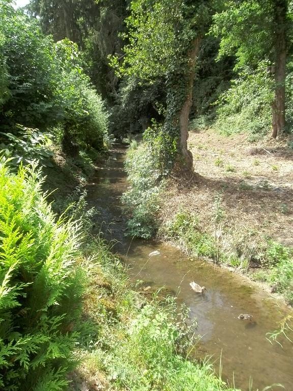 Maring-Noviand Pension Waldfrieden חדר תמונה