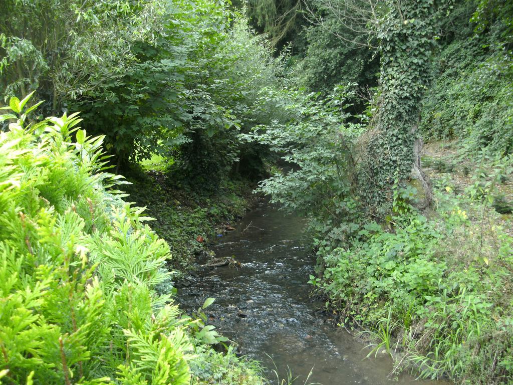 Maring-Noviand Pension Waldfrieden מראה חיצוני תמונה